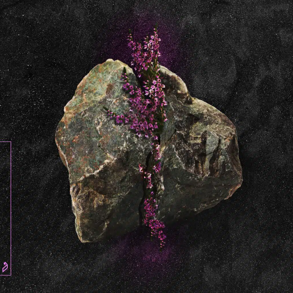 Polar Bears (Extended Mix)