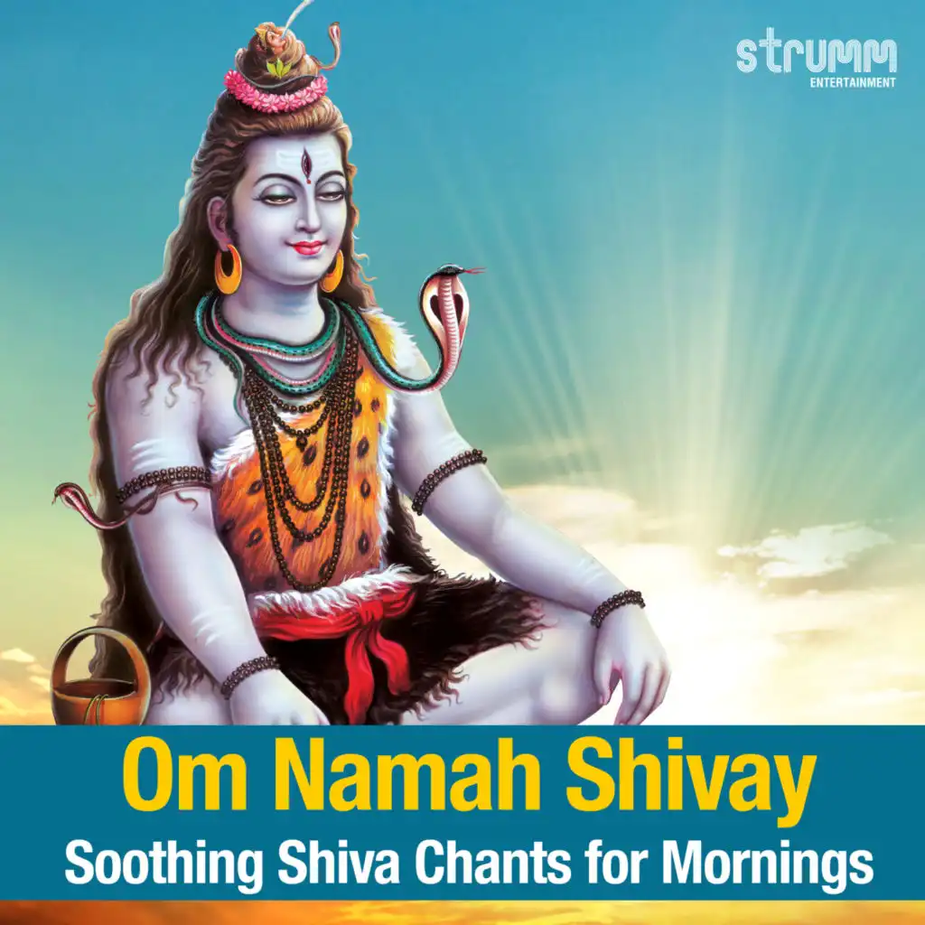 Om Namah Shivay