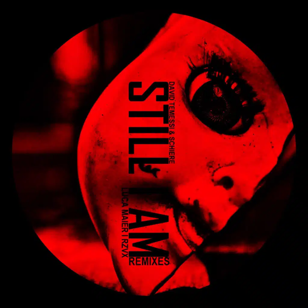 David Temessi, Schiere