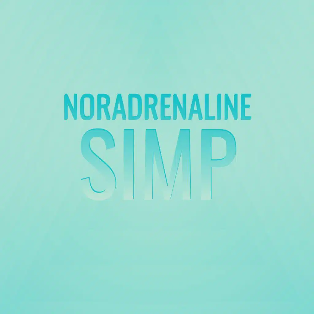 Noradrenaline Simp