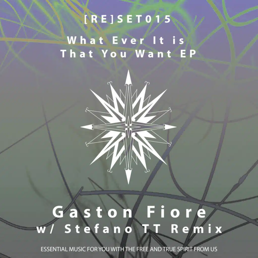 What Ever It Is That You Want