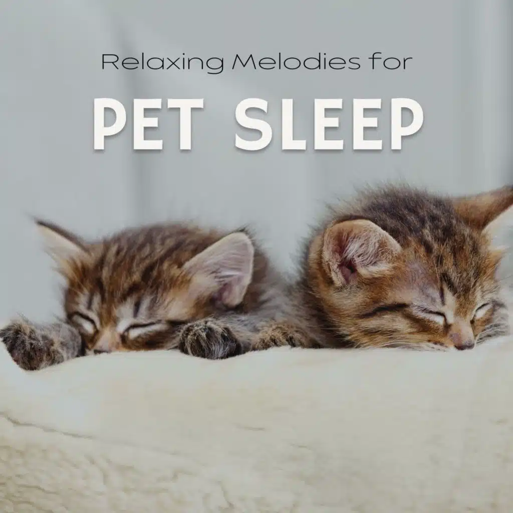 Relaxing Melodies for Pet Sleep