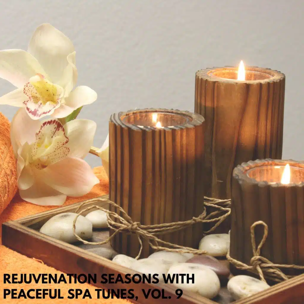 Rejuvenation Seasons with Peaceful Spa Tunes, Vol. 9