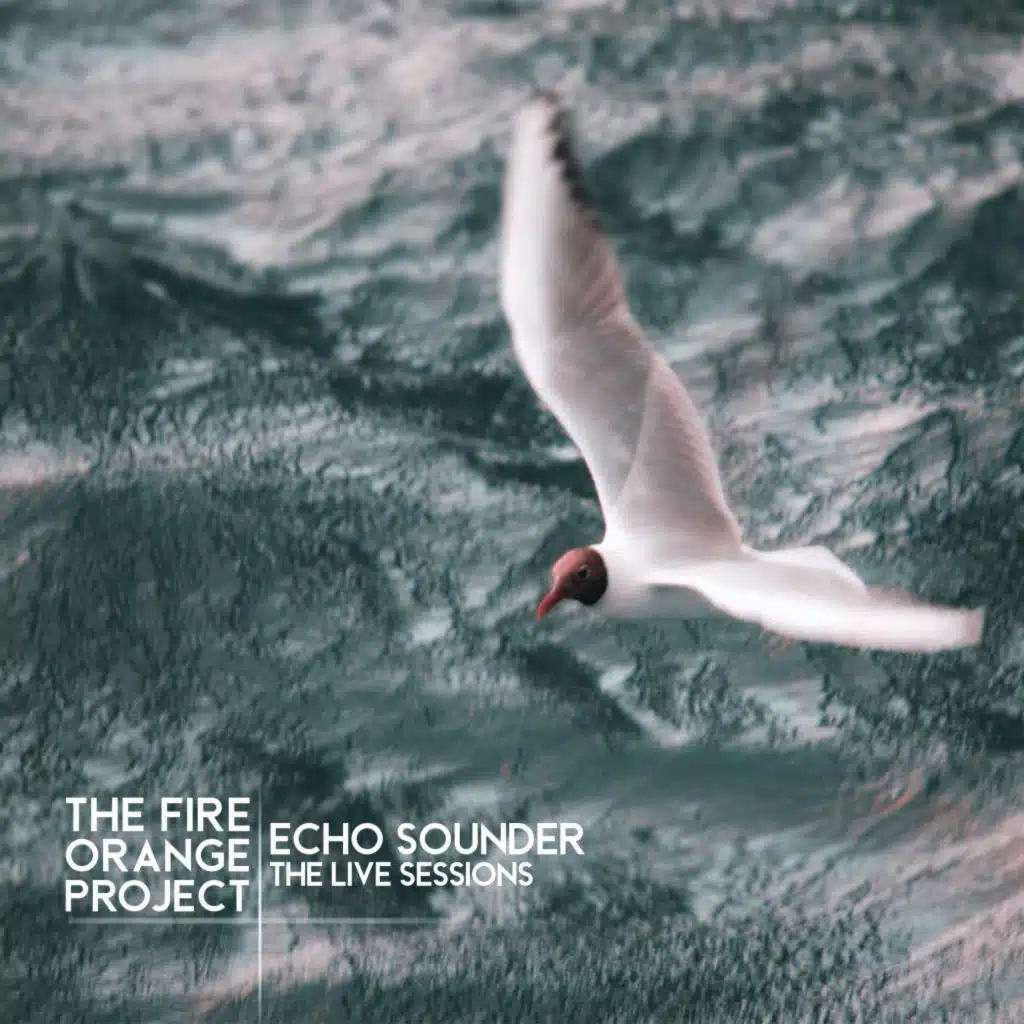 The Fire Orange Project
