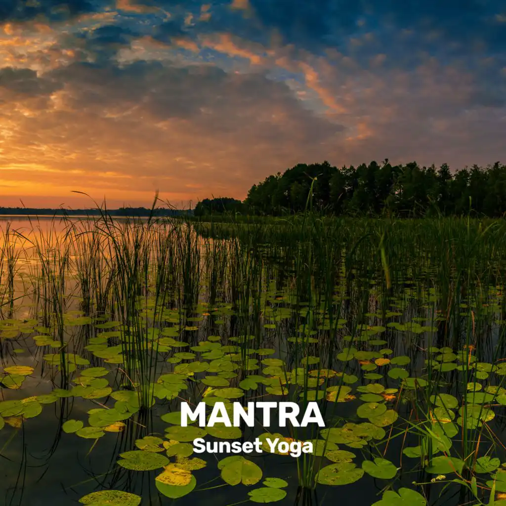 Sunset Yoga