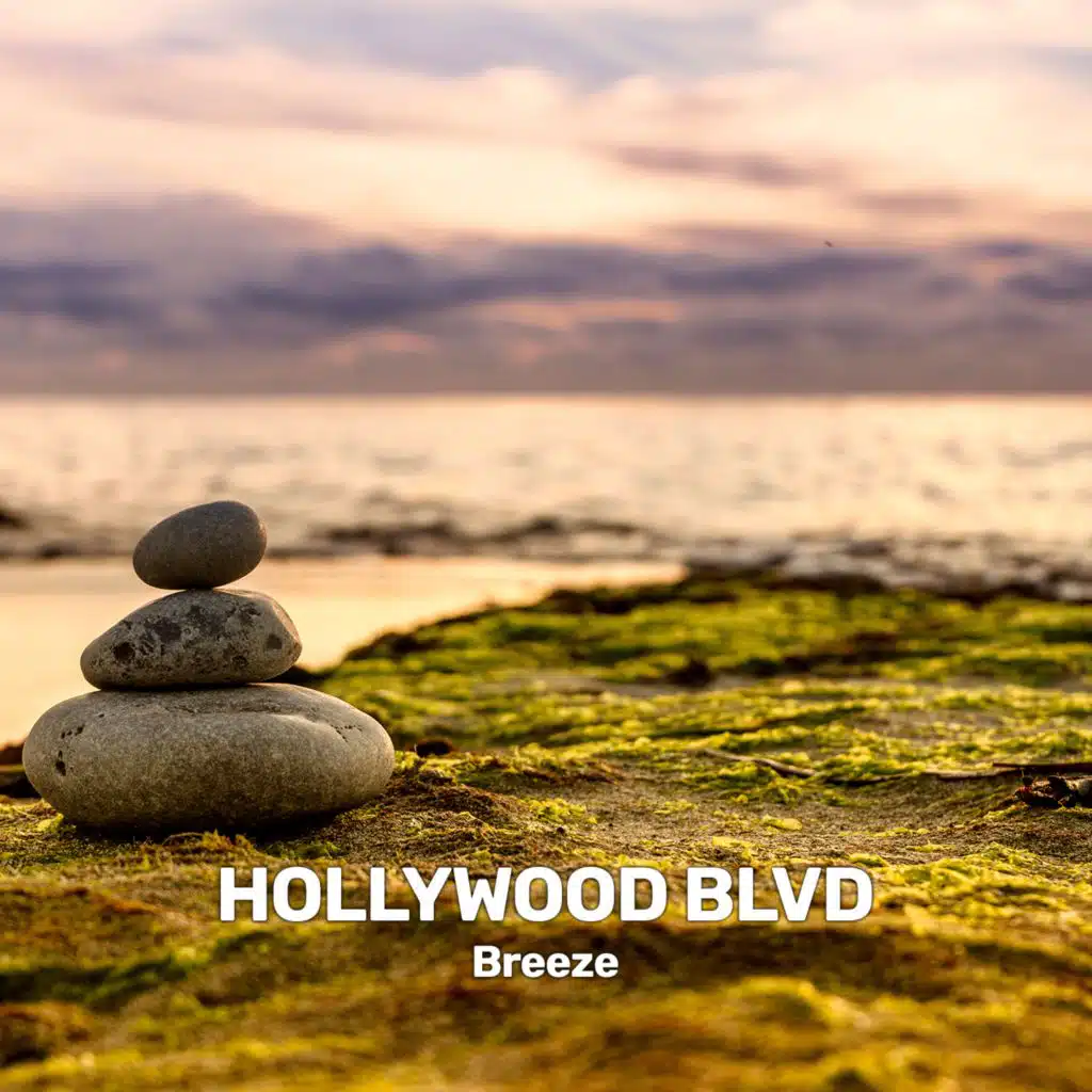 Hollywood Blvd