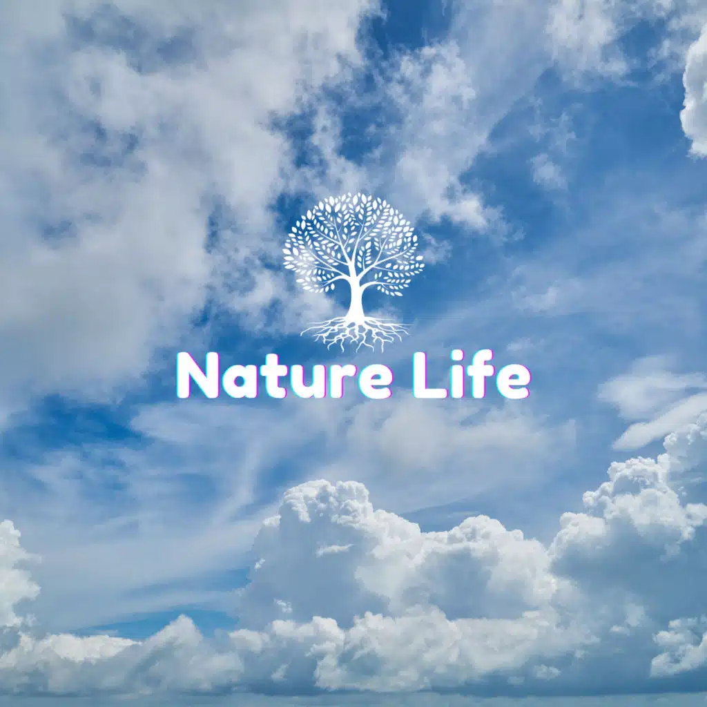 Nature Life