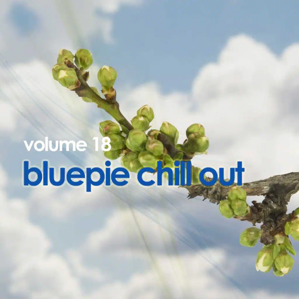Chill Out Vol 18