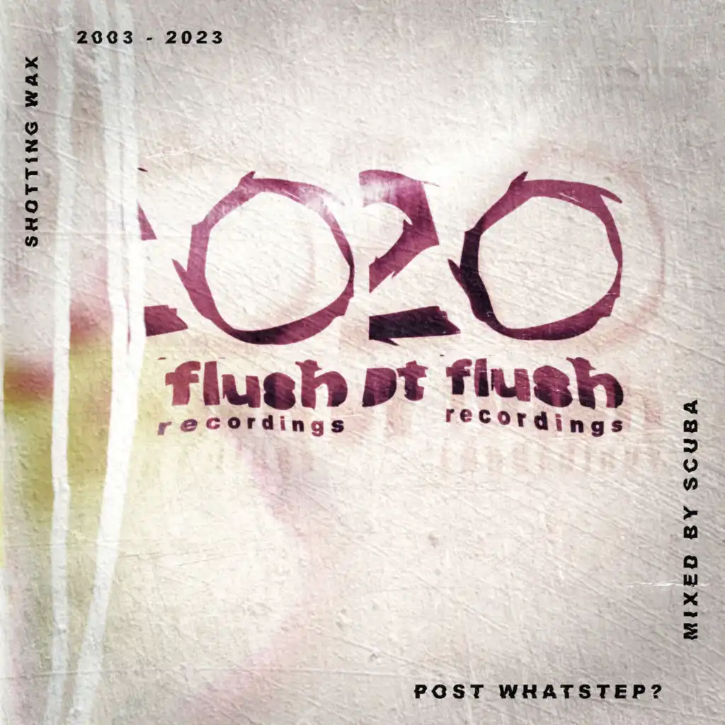Post Whatstep? - Hotflush 20 (DJ Mix)