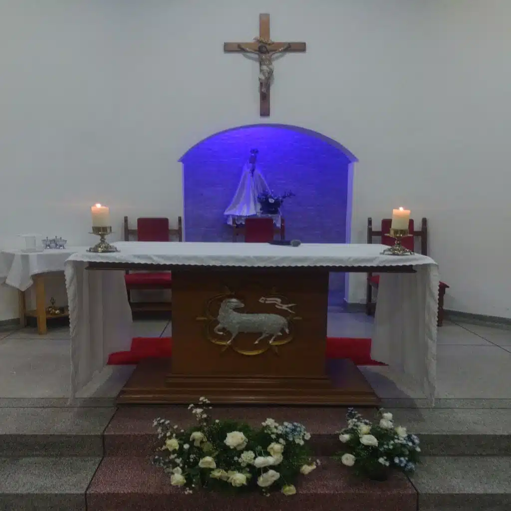 Francisco Rodrigues P.A