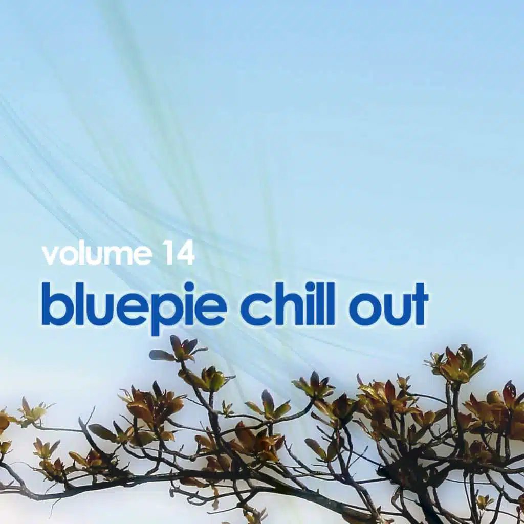 Chill Out Vol 14