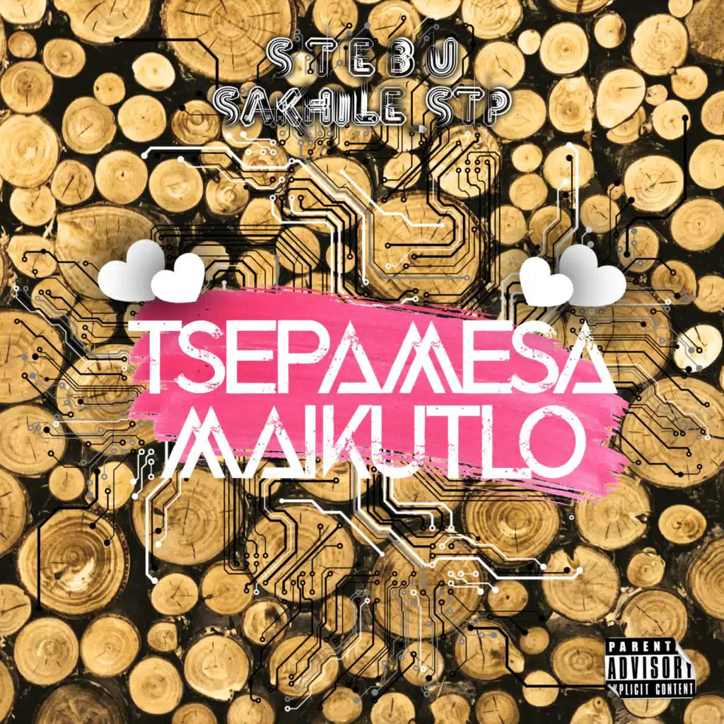 S T E B U & Sakhile_STP