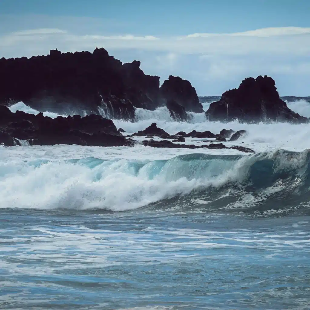 The Reef