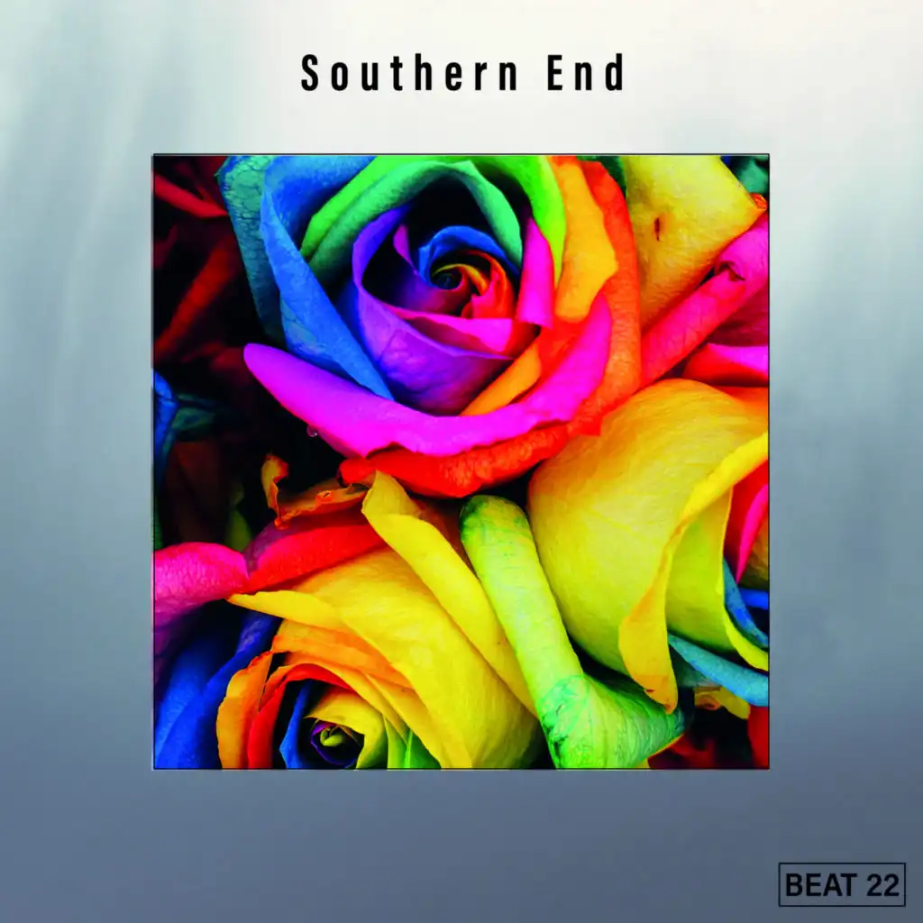 Southern End Beat 22
