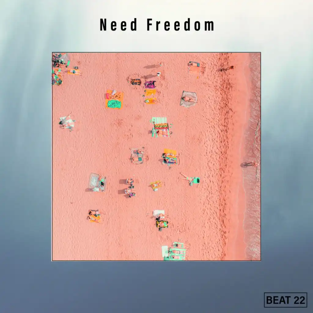 Need Freedom Beat 22