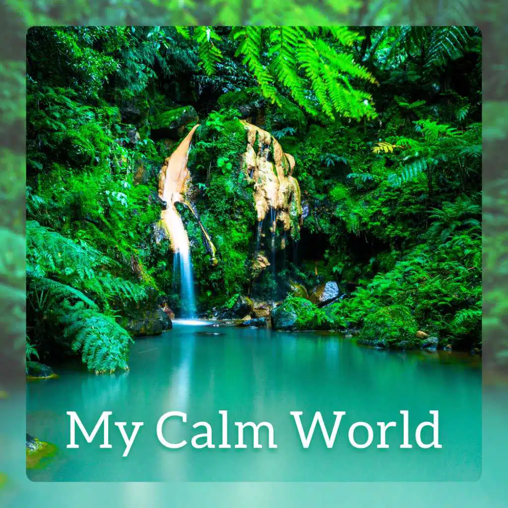 My Calm World