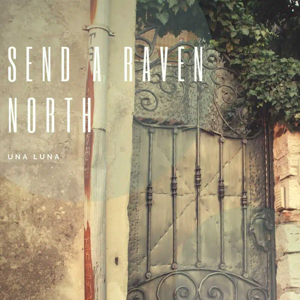 Send A Raven North