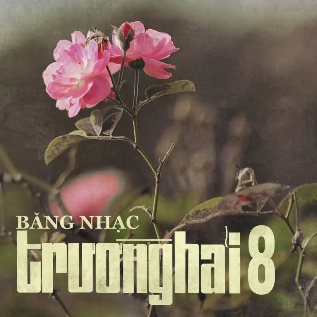 Những Đồi Hoa Sim