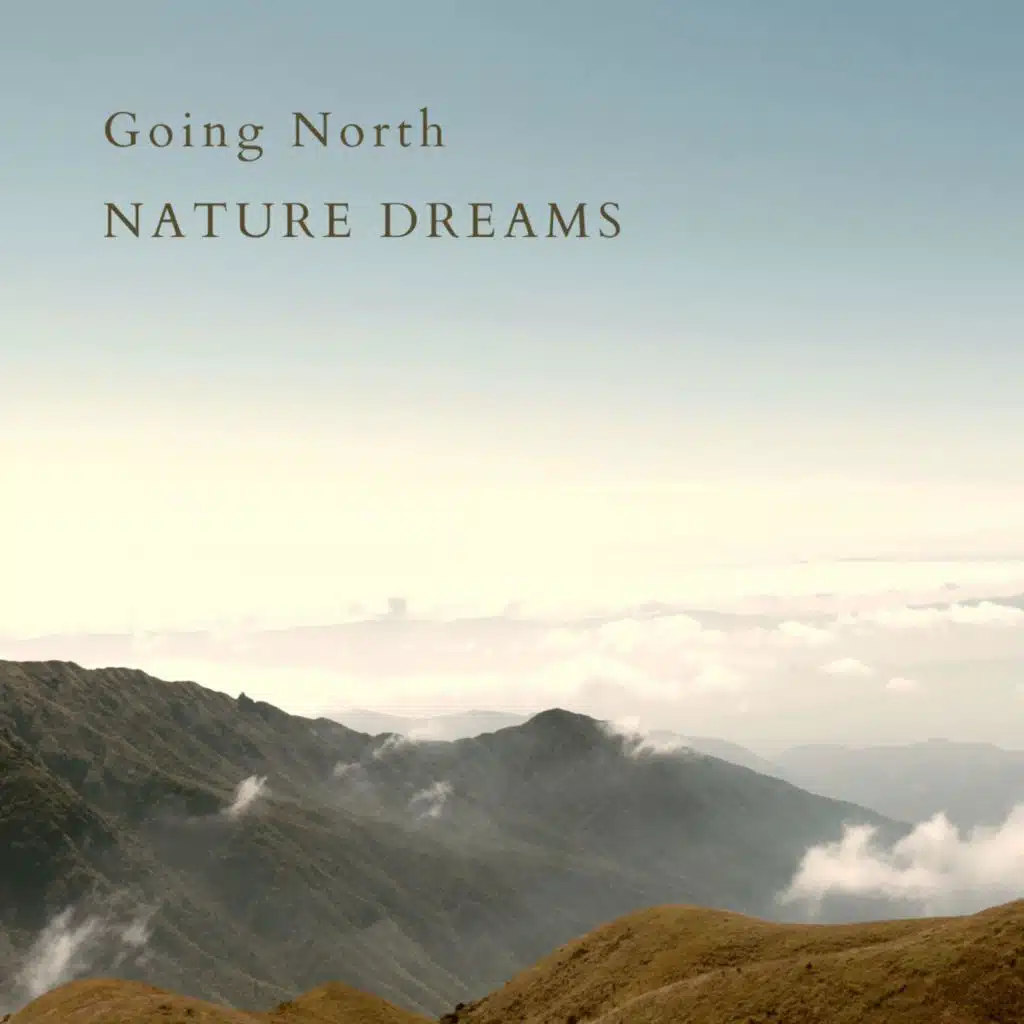 Going North Arr. For Violin