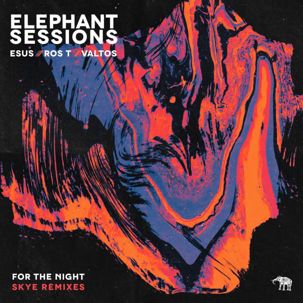For the Night (Skye Remixes)