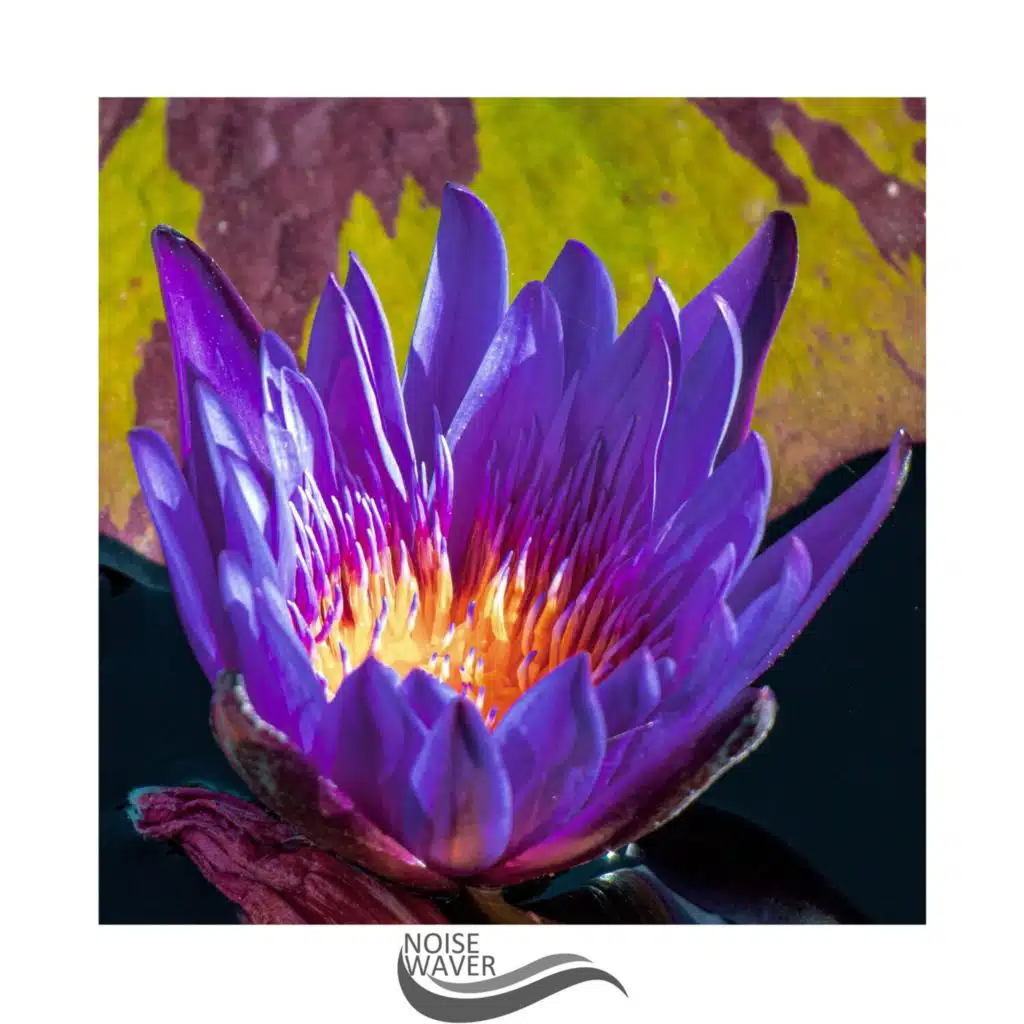 Nighty Effective Noise