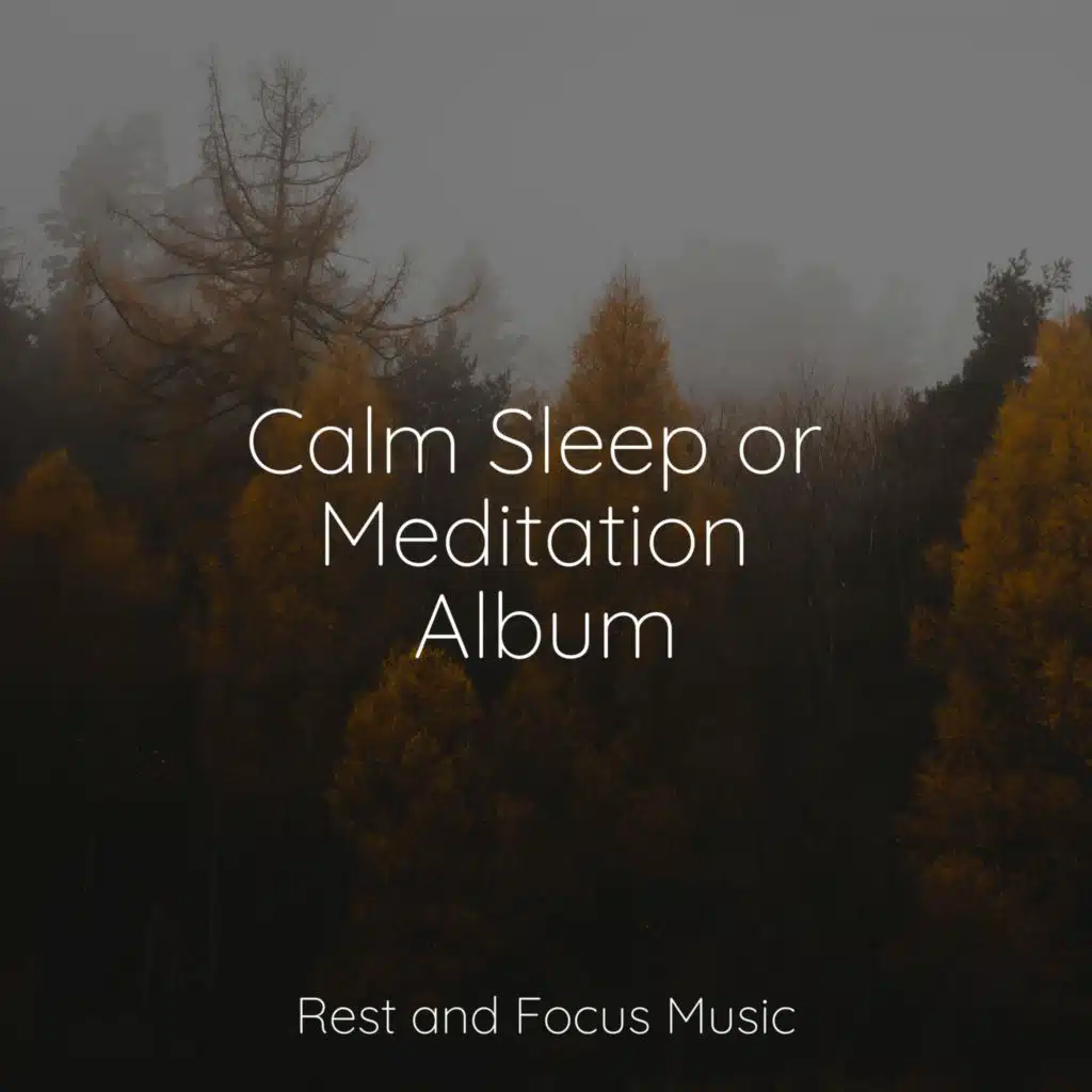 Relaxing Moods