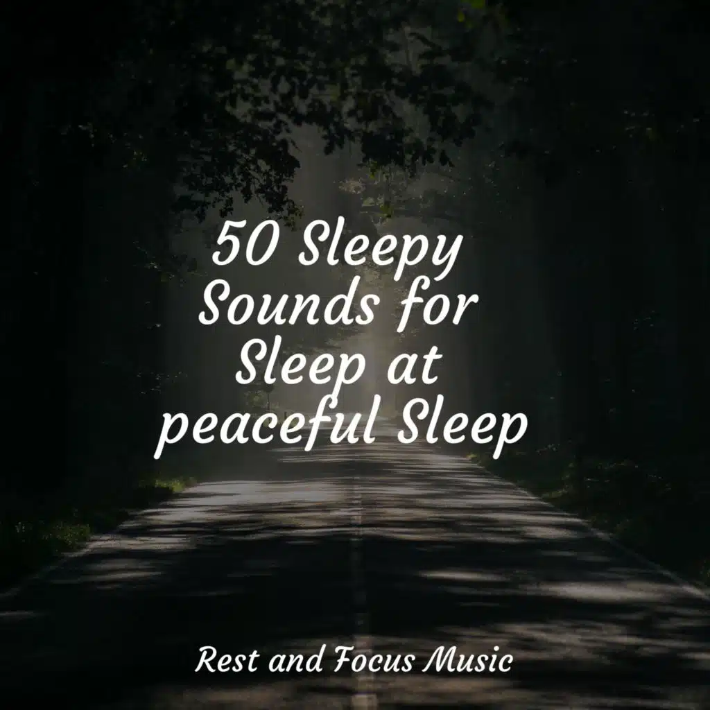 50 Sleepy Sounds for Sleep at peaceful Sleep