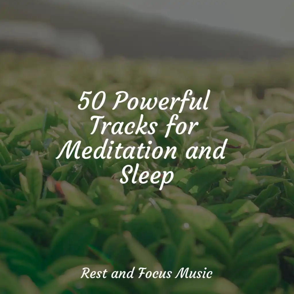 50 Powerful Tracks for Meditation and Sleep