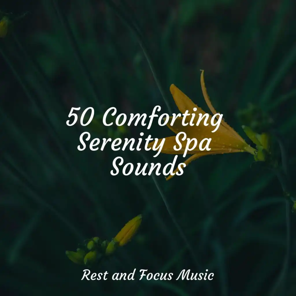 50 Comforting Serenity Spa Sounds