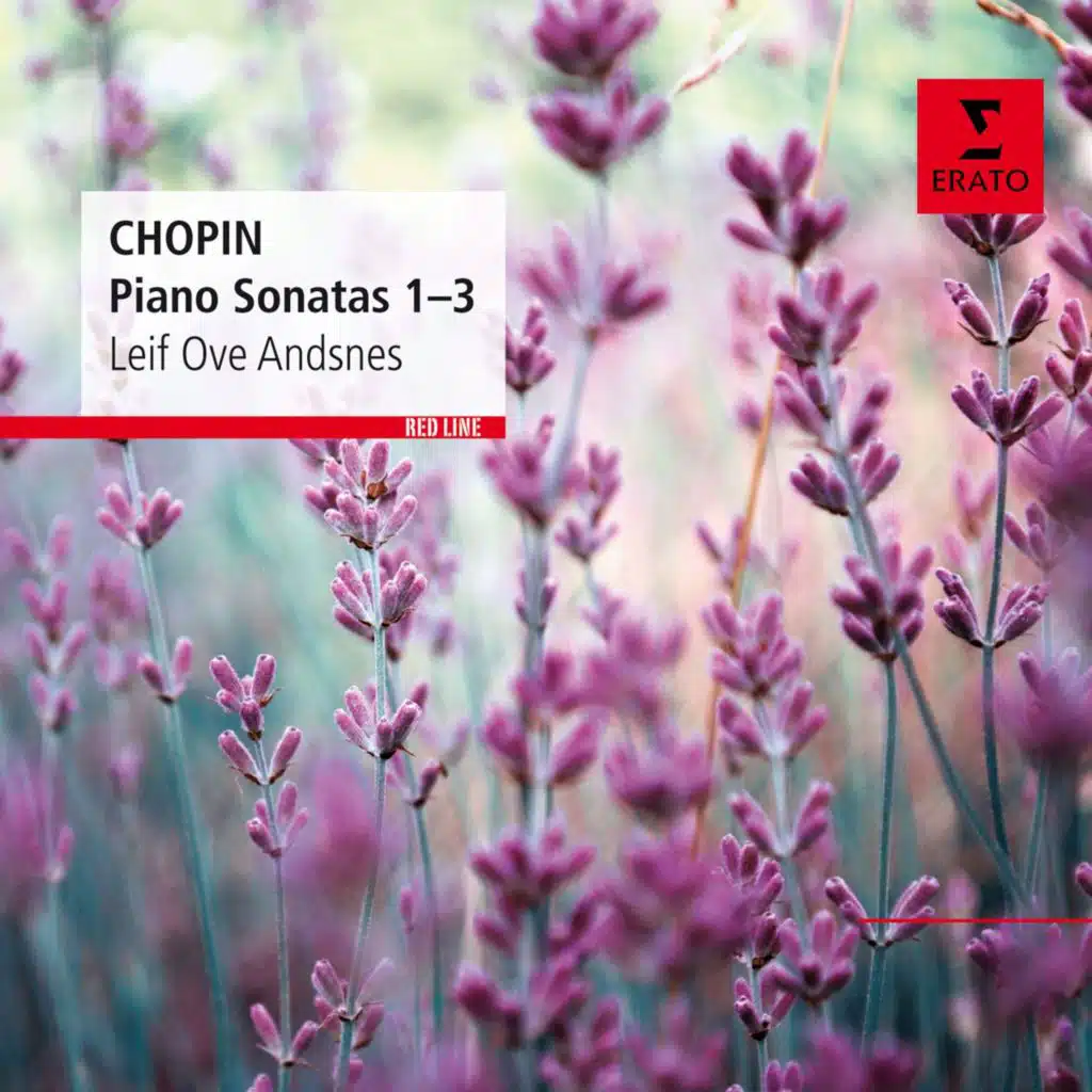 Piano Sonata No. 2 in B-Flat Minor, Op. 35 "Funeral March": I. Grave - Doppio movimento