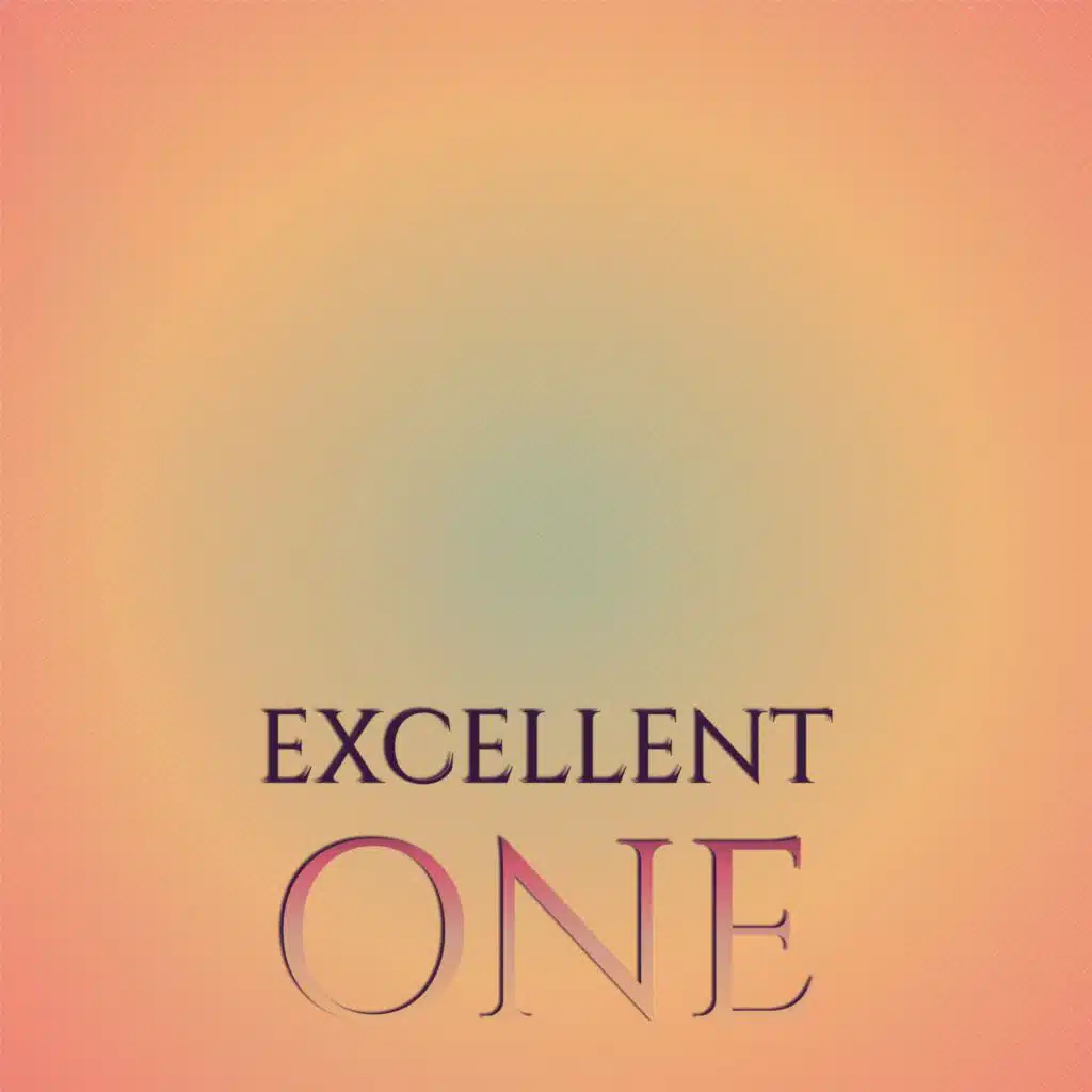 Excellent One