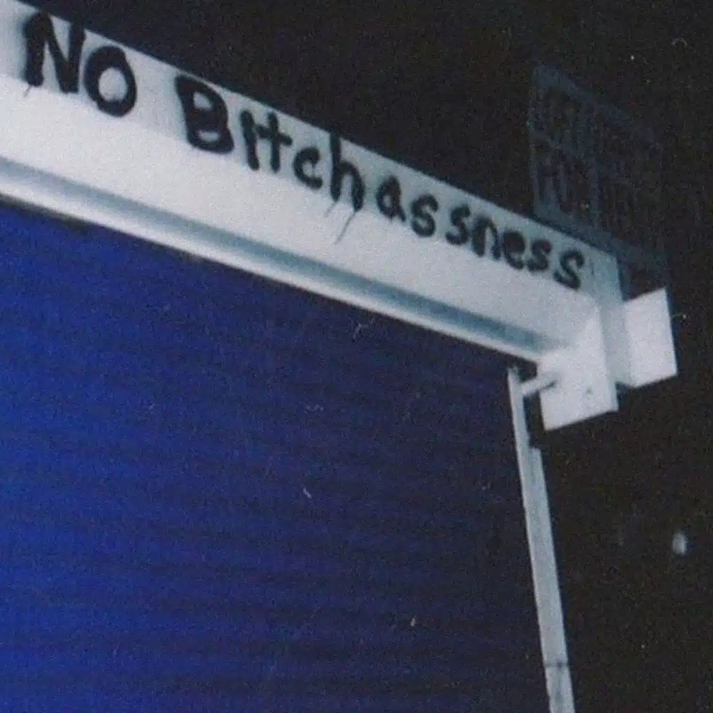 I Came To Break Hearts II