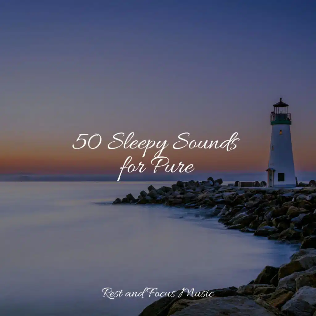 Shakuhachi Sakano, Mindfulness Mediation World, Spa