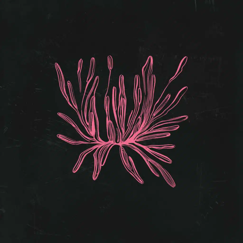 Devaloop, Fuzl & blndspot