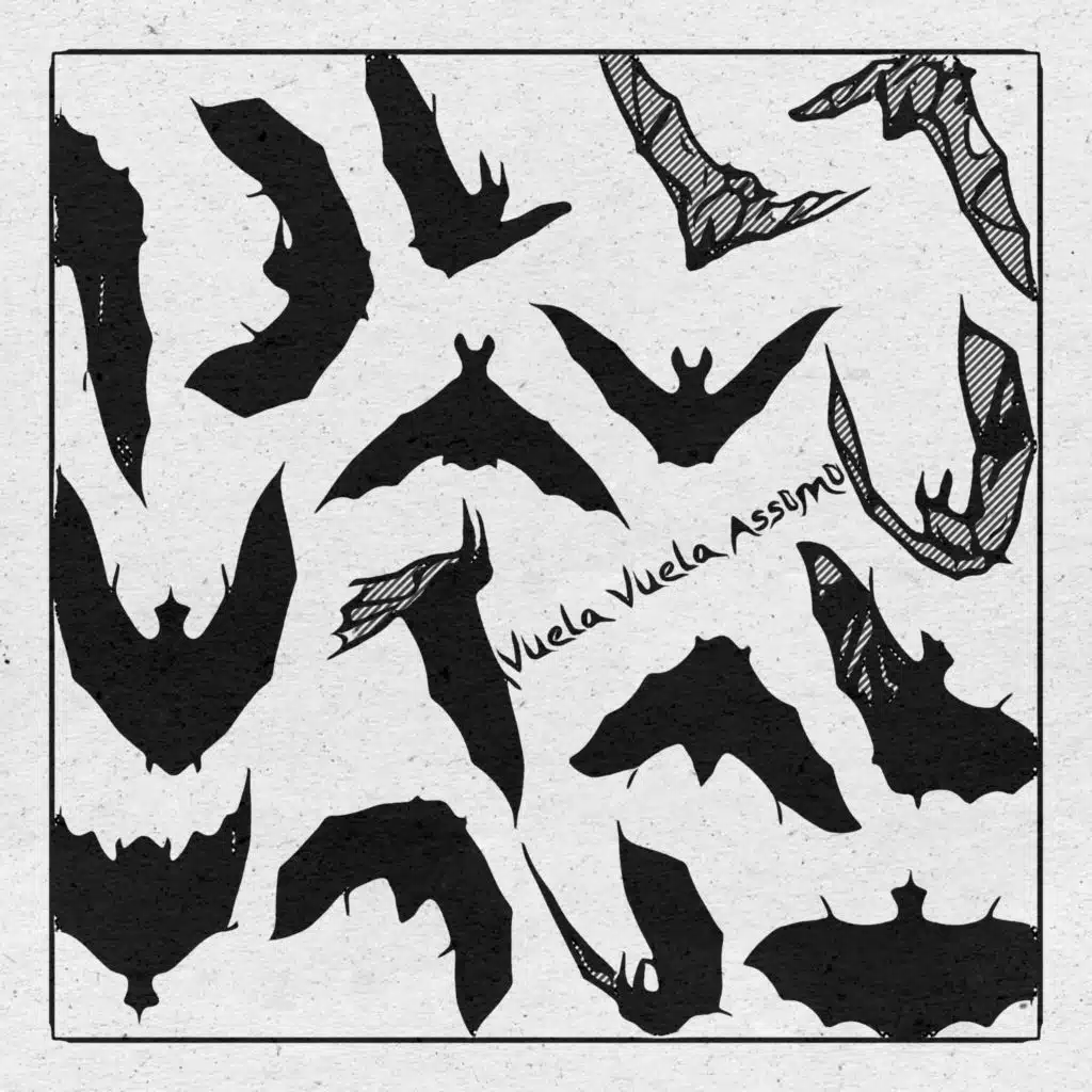 Vuela Vuela Assimi
