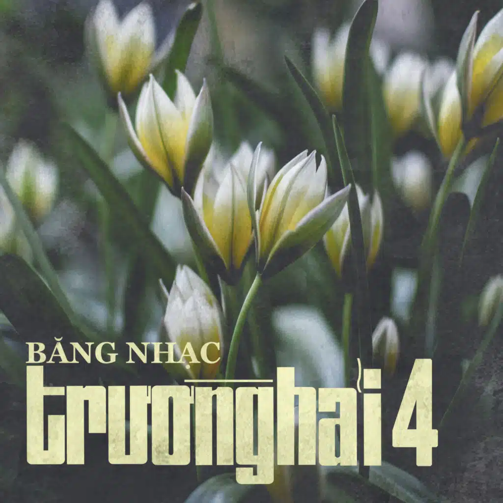 Đừng Trách Gì Nhau