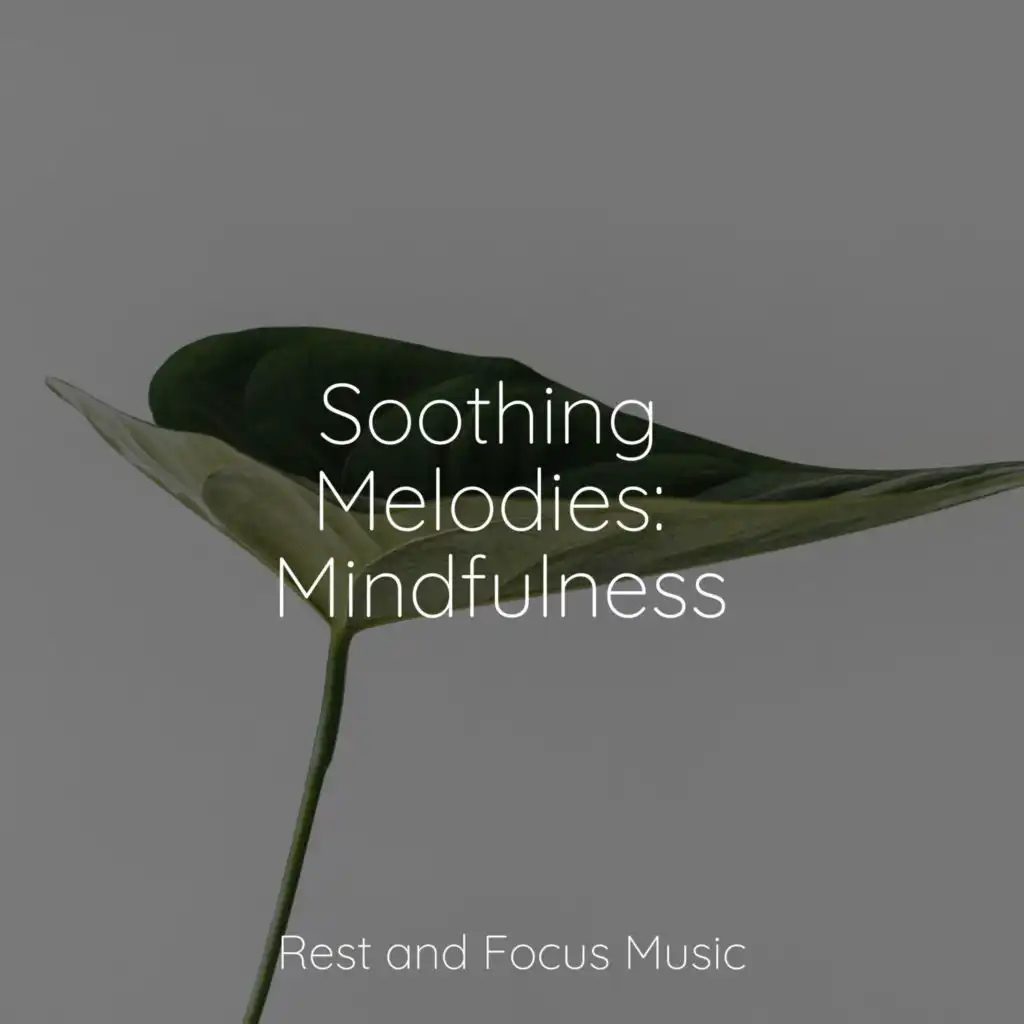 Soothing Melodies: Mindfulness