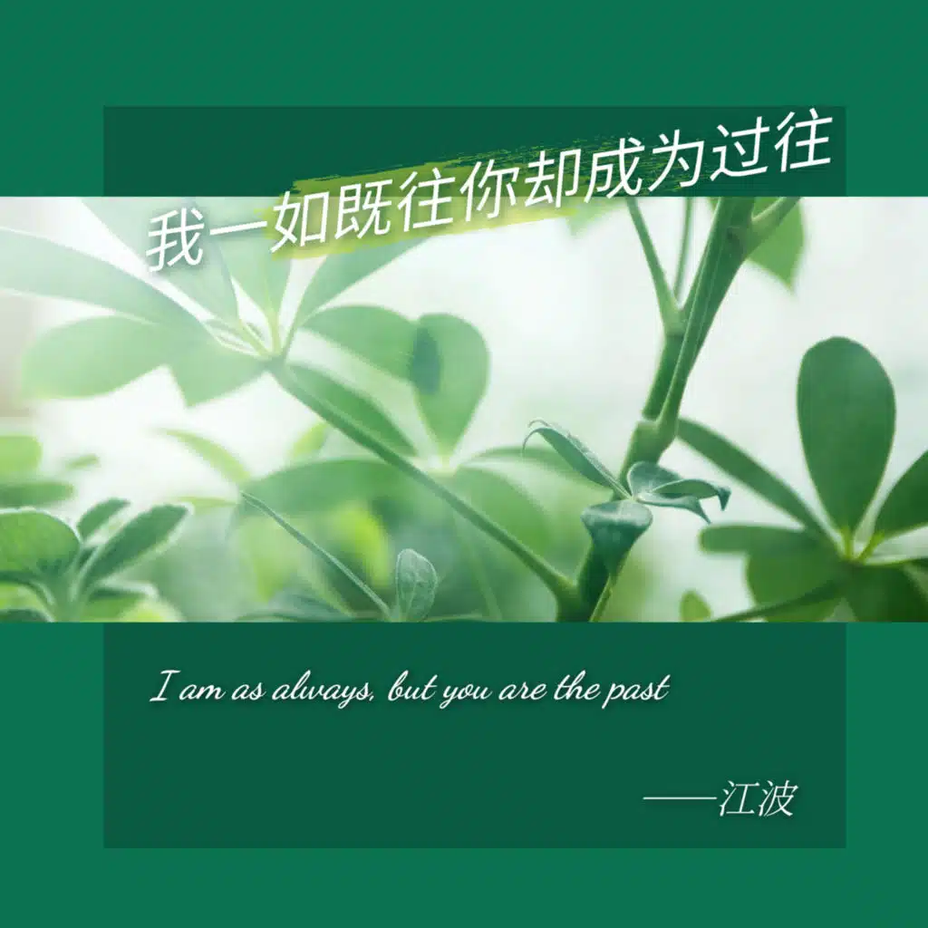我一如既往你却成为过往