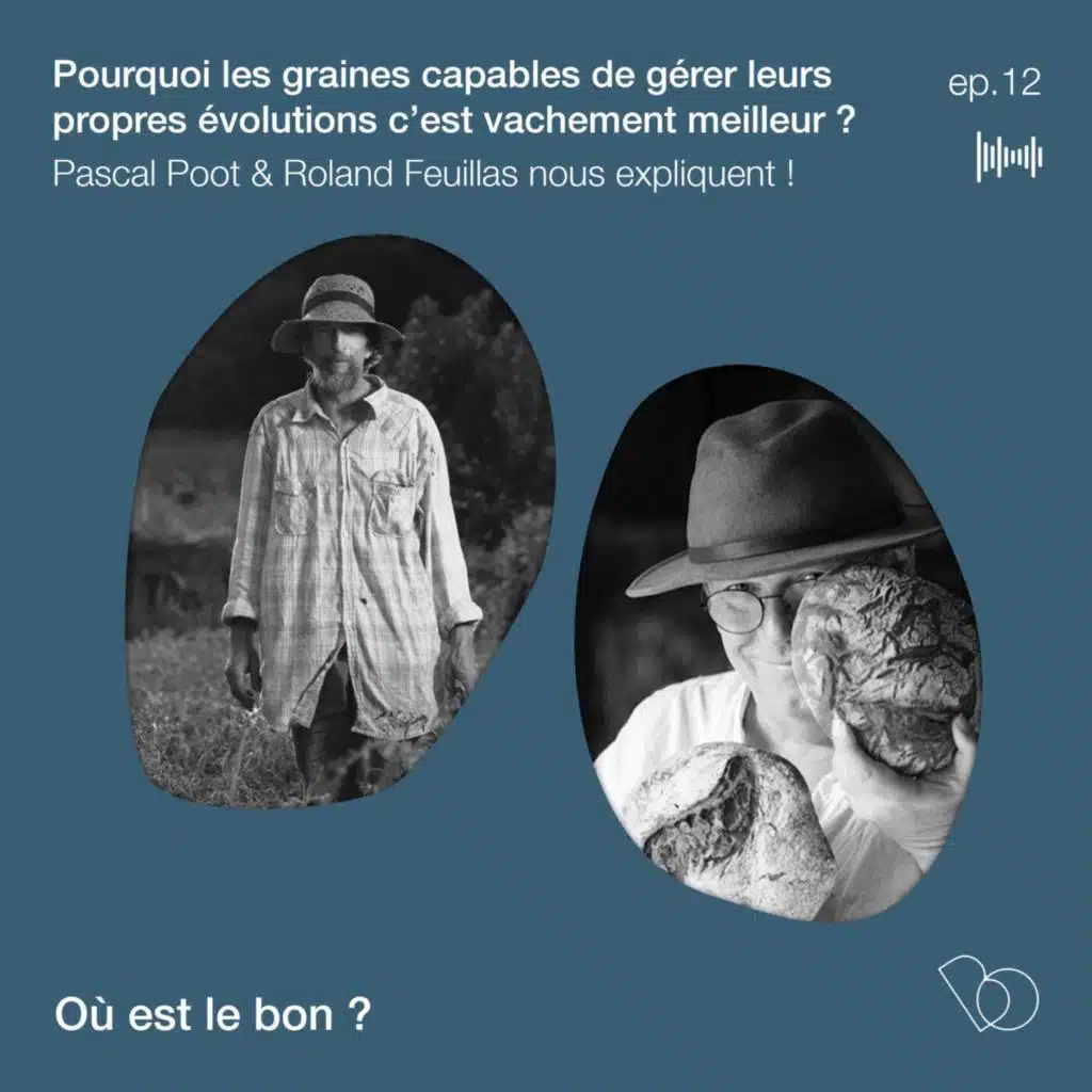 #12 - Pourquoi les graines capables de gérer leurs propres évolutions c’est vachement meilleur ?  Roland Feuillas et Pascal Poot nous expliquent ! 