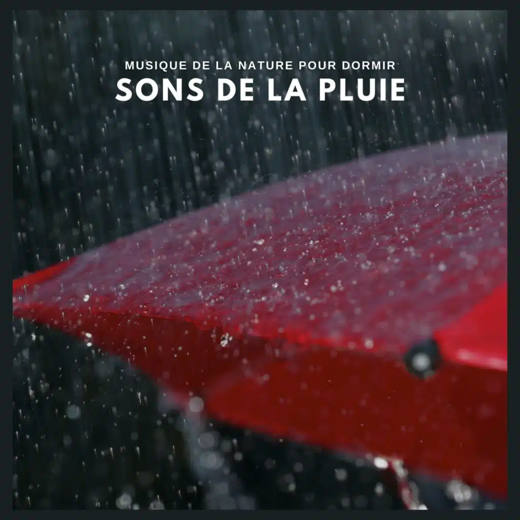 Musique de la nature pour dormir: sons de la pluie (p34)