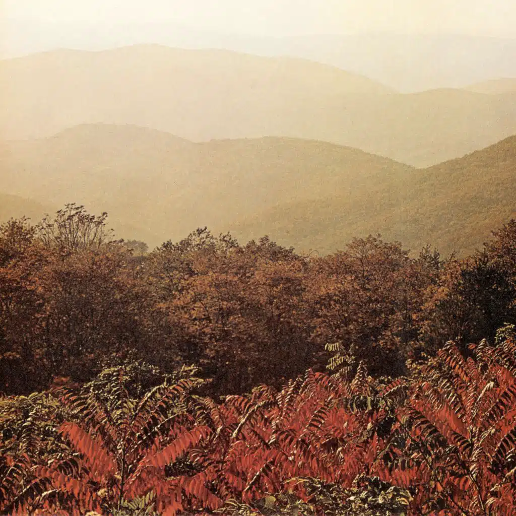 Imaginary Softwoods (15 Year Anniversary Edition)