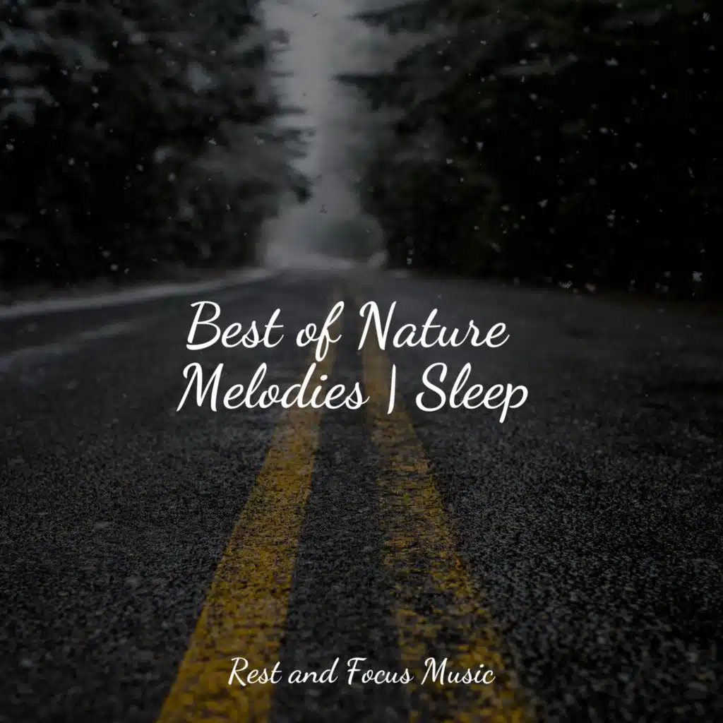 Best of Nature Melodies | Sleep