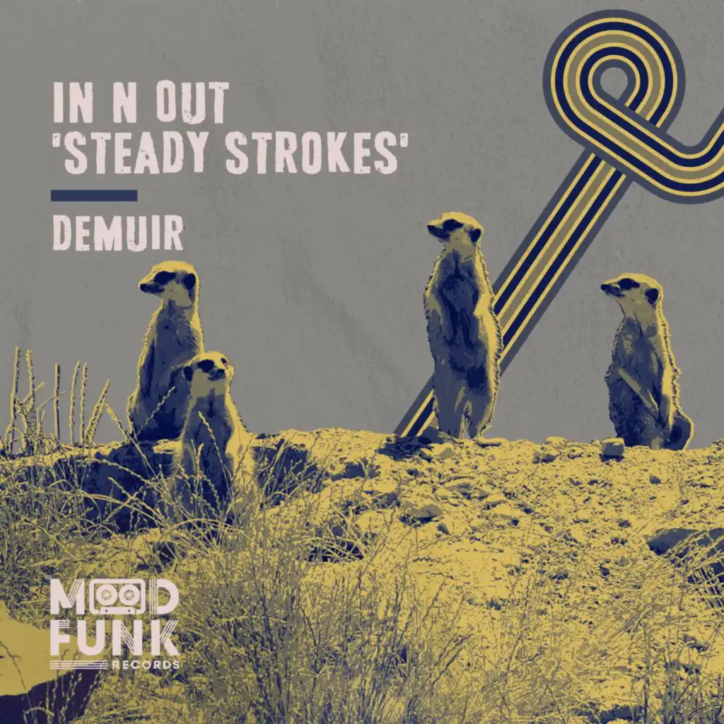 In N Out 'Steady Strokes' (Dub Edit)