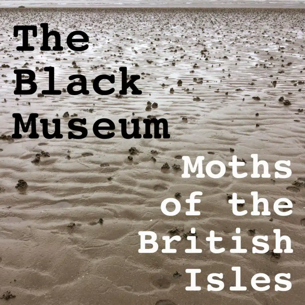 Moths of the British Isles