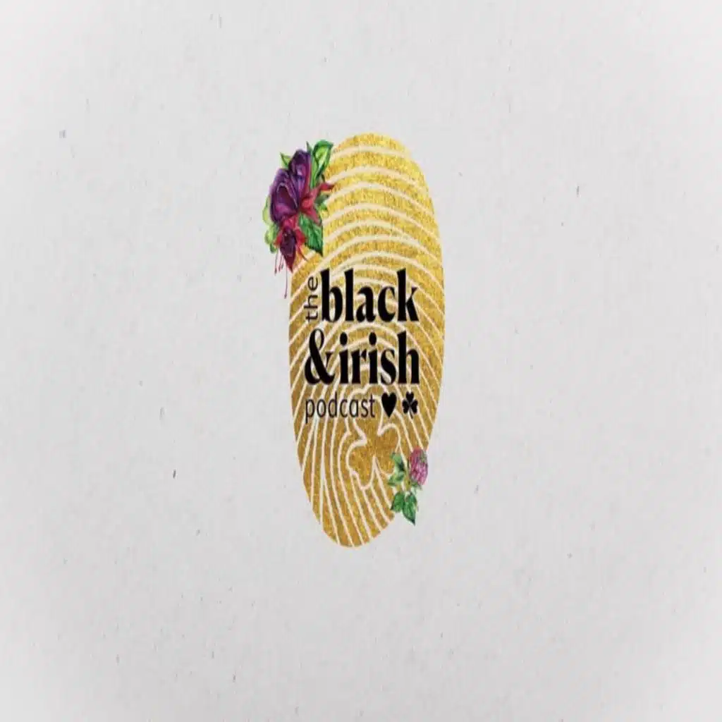 Music Industry Profile: Safo