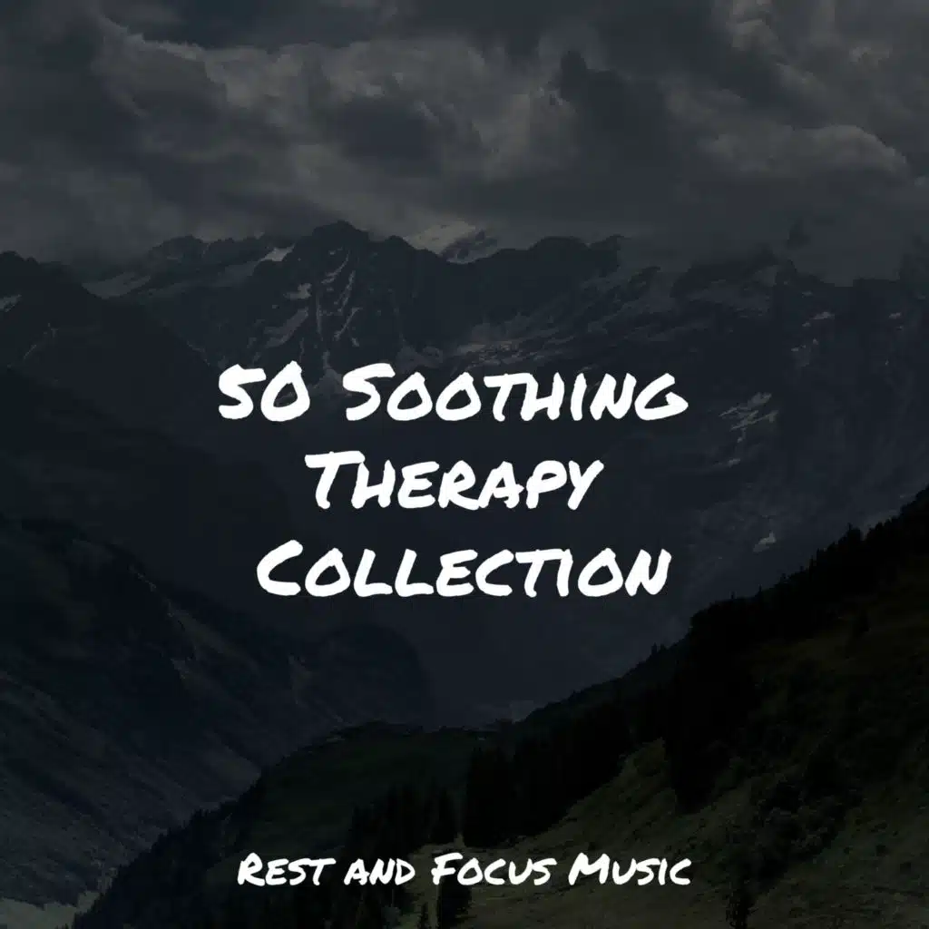 Academia de Música con Sonidos de la Naturaleza & Meditação Maestro