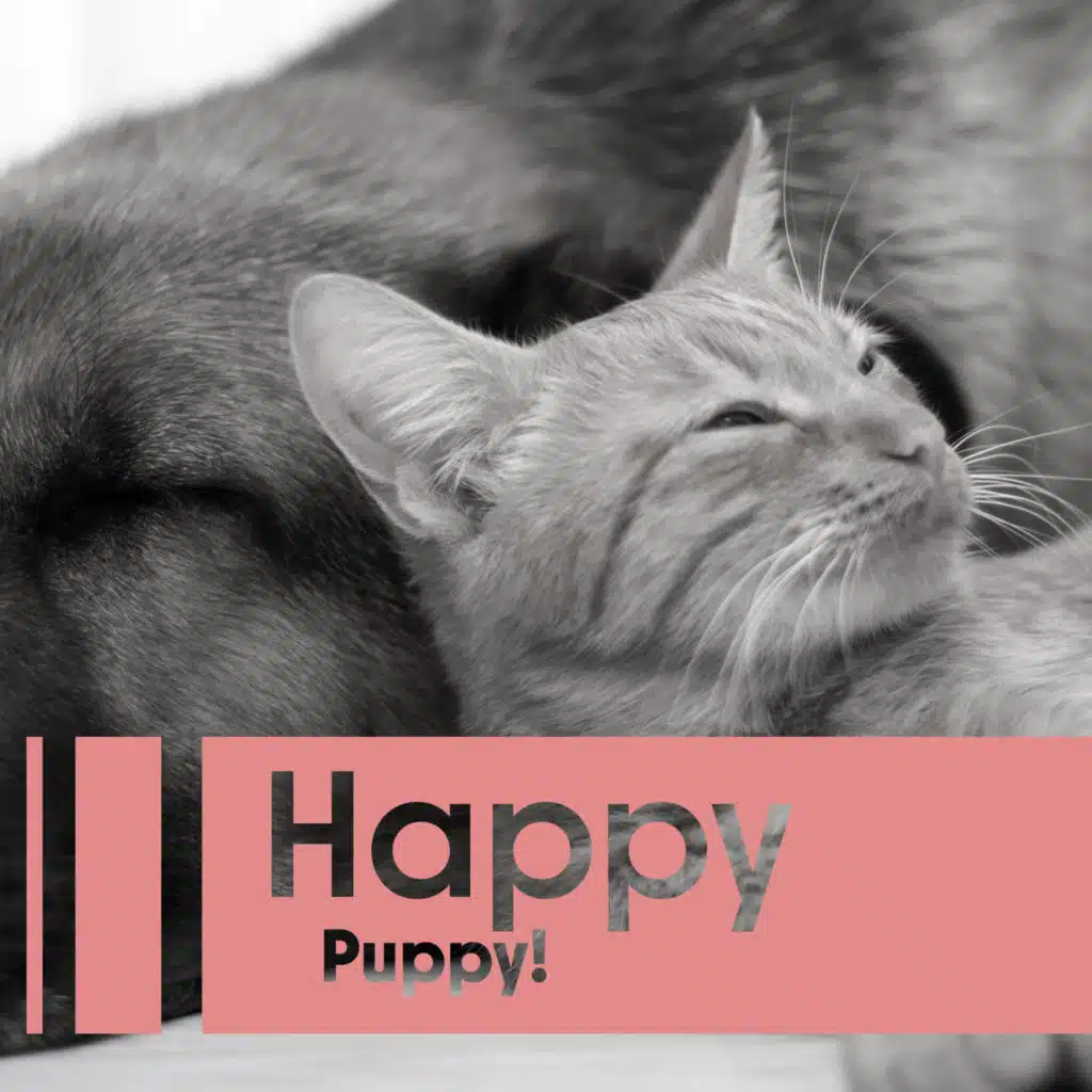 Jamie Jazz & Bebop Club