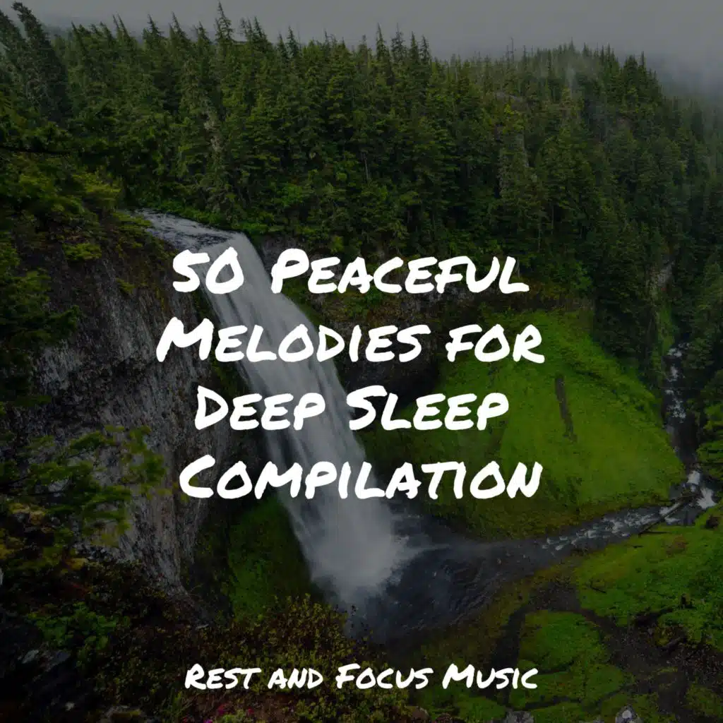 50 Peaceful Melodies for Deep Sleep Compilation