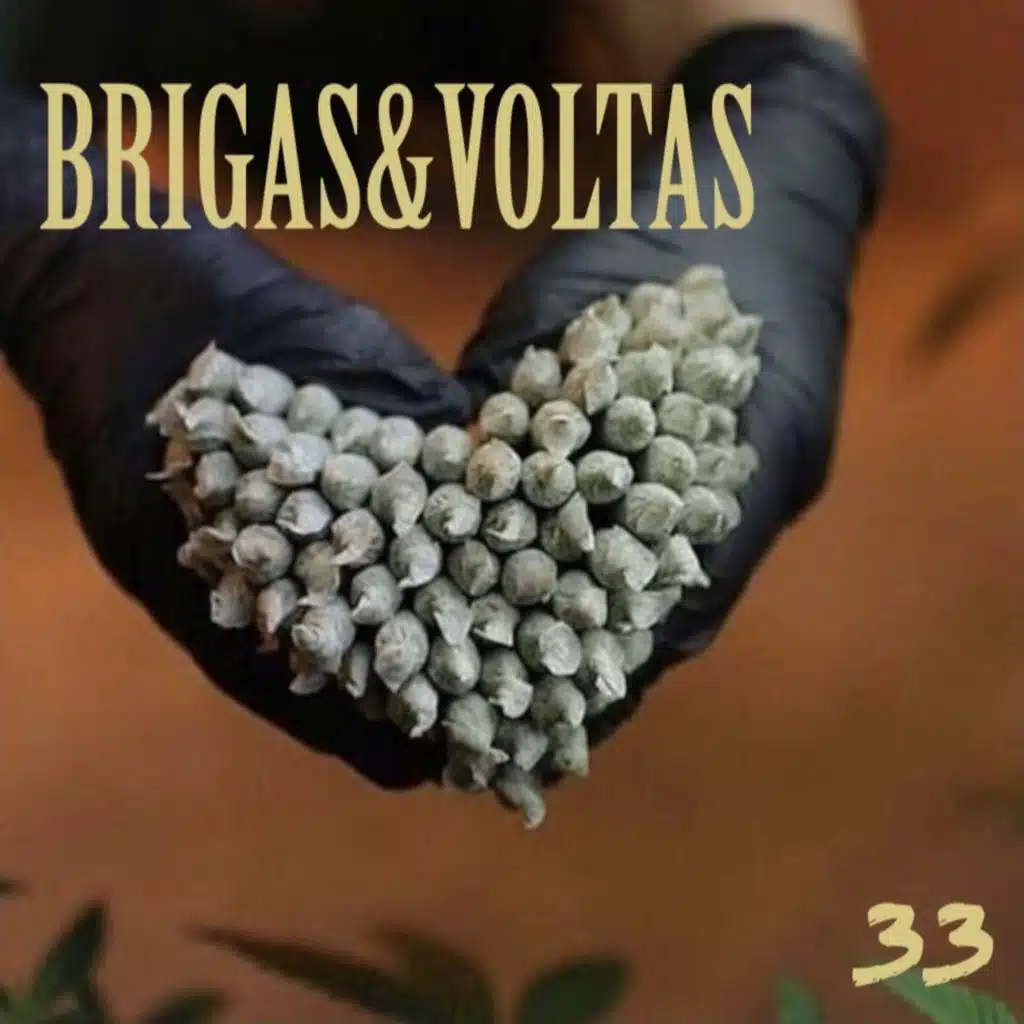Brigas & Voltas