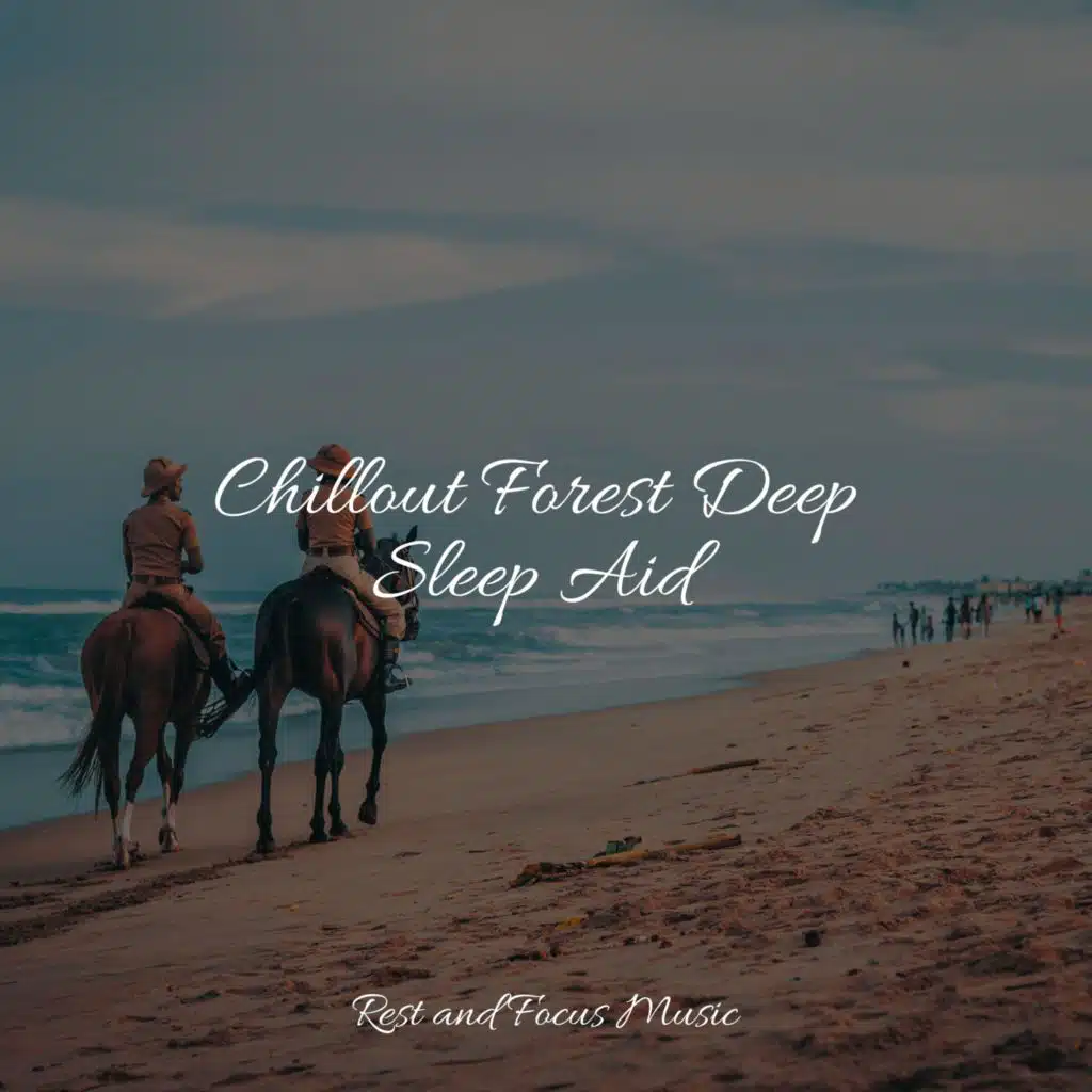 Chillout Forest Deep Sleep Aid